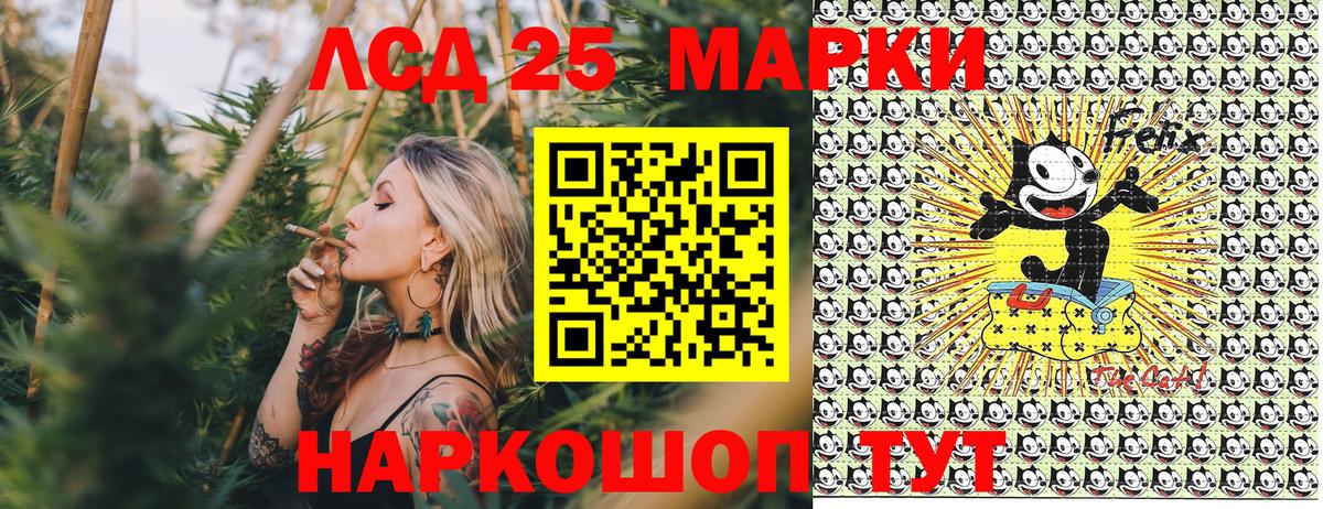 Галлюциногенные грибы Лениногорск