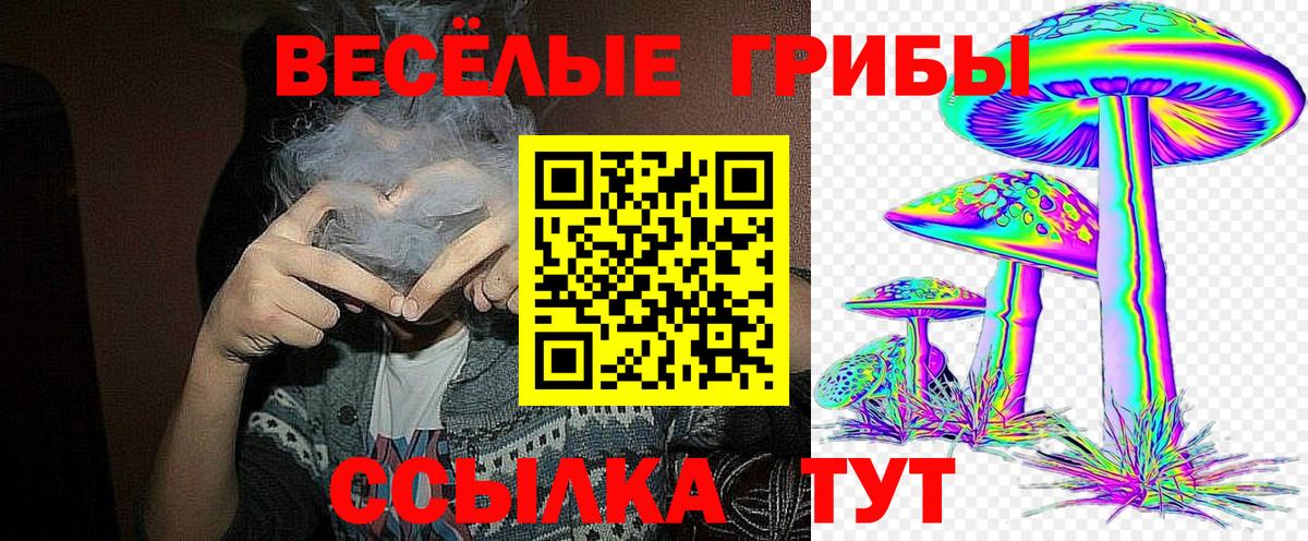 Псилоцибиновые грибы MAGIC MUSHROOMS Лениногорск