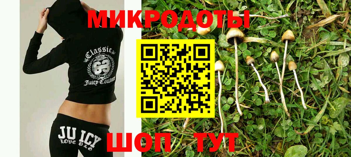 Псилоцибиновые грибы мухоморы  Галлюциногенные грибы Psilocybe  Лениногорск  магазин  наркотиков  Вход с VPN 